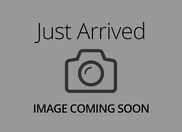 Miniature Goldendoodle – 11136