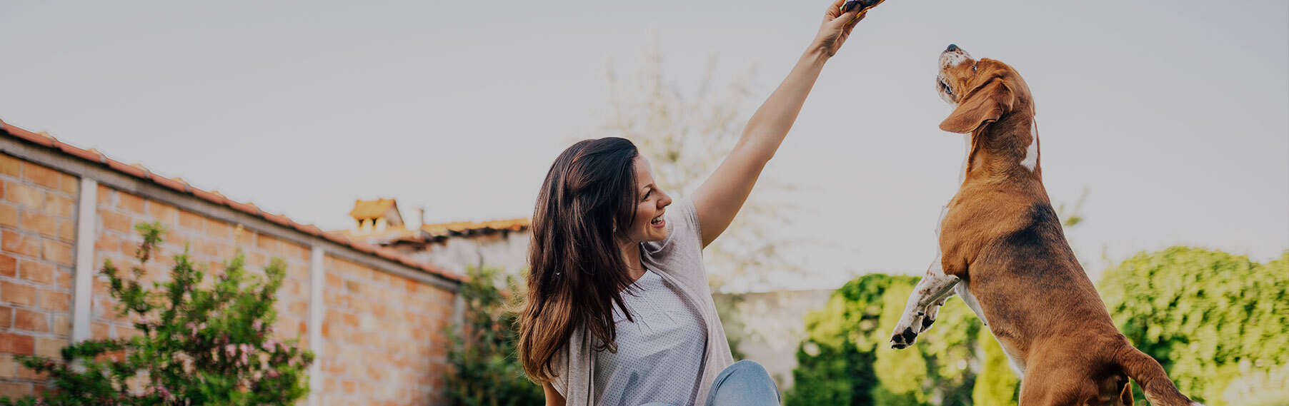 A woman in a sunny garden holding a treat above a beagle leaping up to reach it