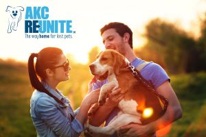 AKC Reunite