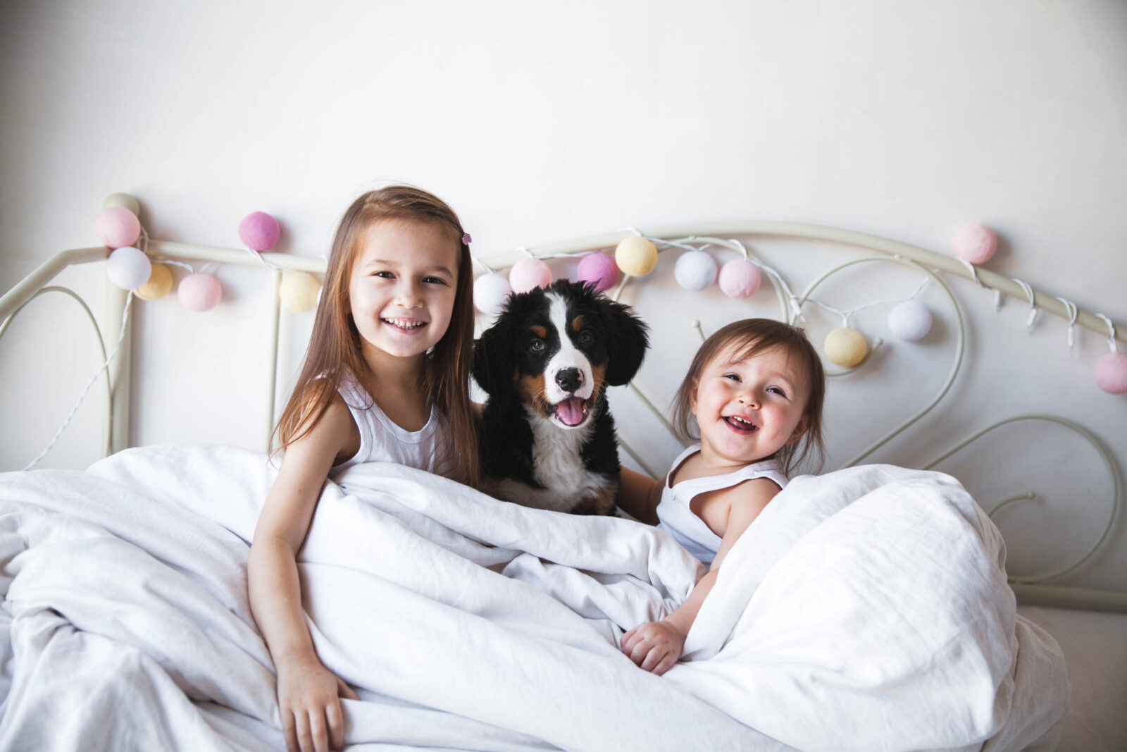The Trusted Path to Your New Family Member! banner