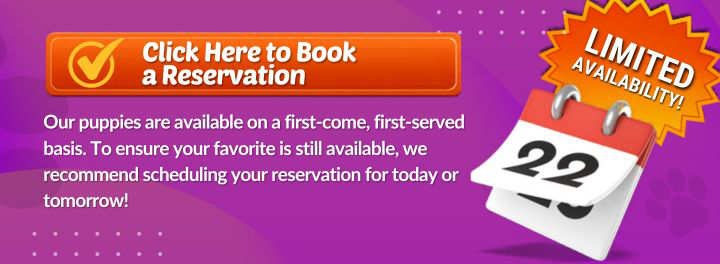 Book In-Store Visit