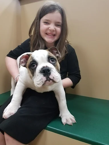 Girl holding a bulldog puppy at Petland Shavano Park